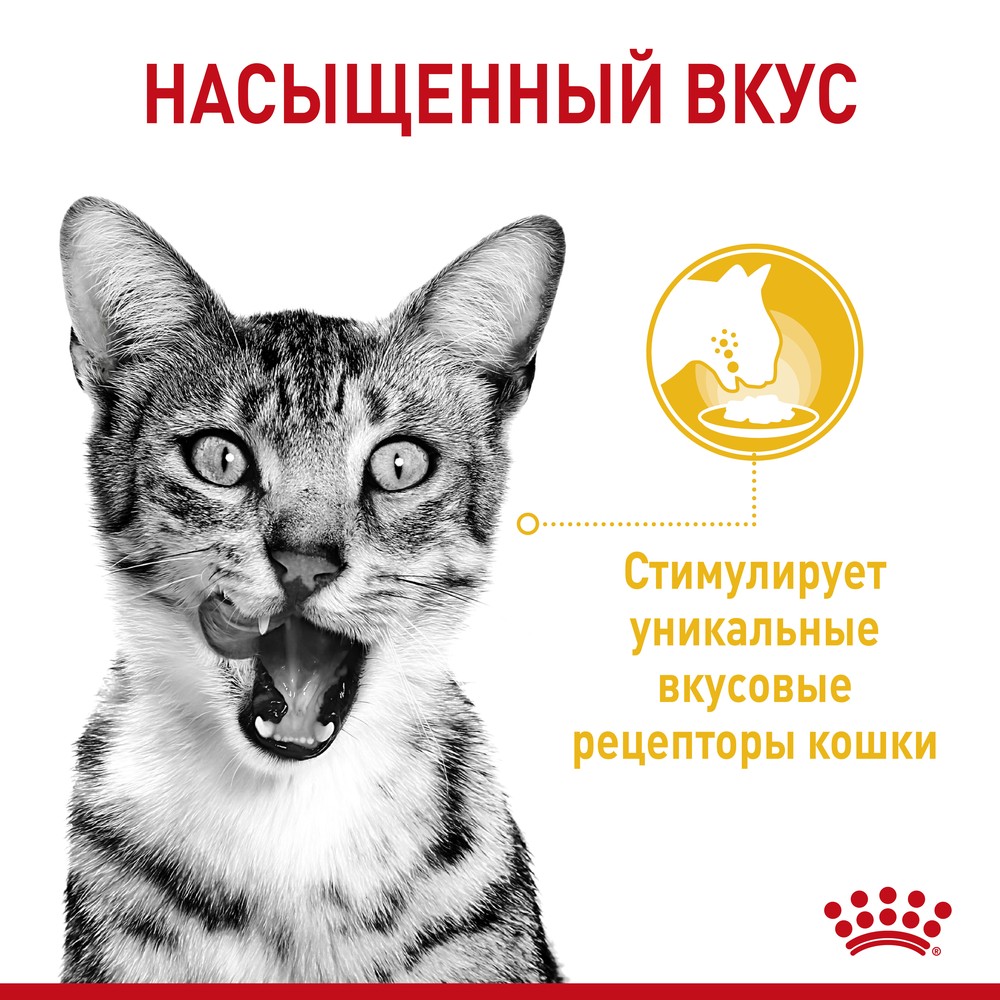 Royal Canin Sensory Вкус в соусе пауч для кошек 85 г 3