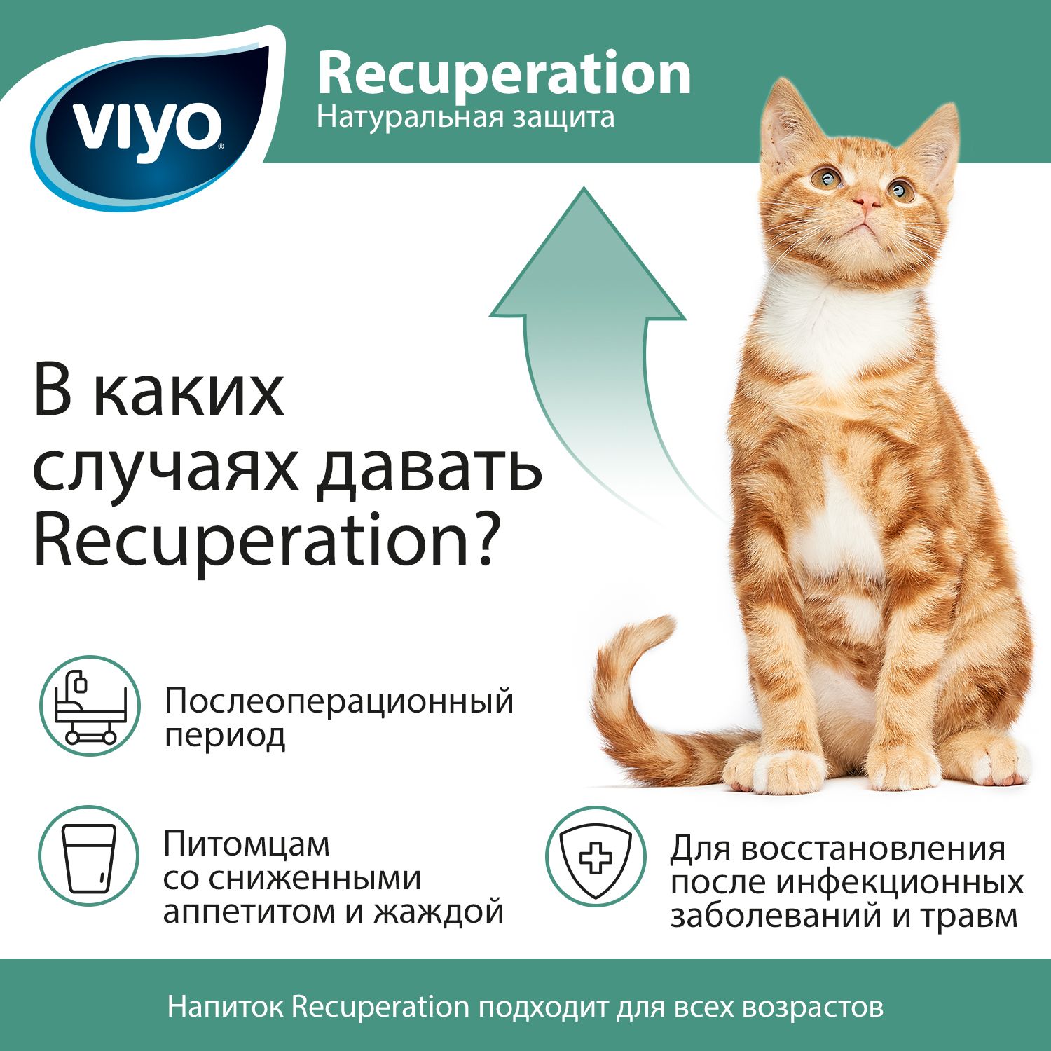 VIYO Recuperation Напиток-пребиотик для кошек 150 мл 3