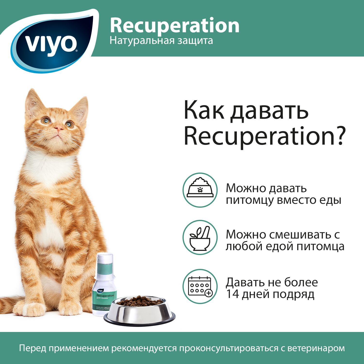 VIYO Recuperation Напиток-пребиотик для кошек 150 мл - купить в  Новосибирске по цене от рублей в интернет-магазине Мокрый Нос с доставкой