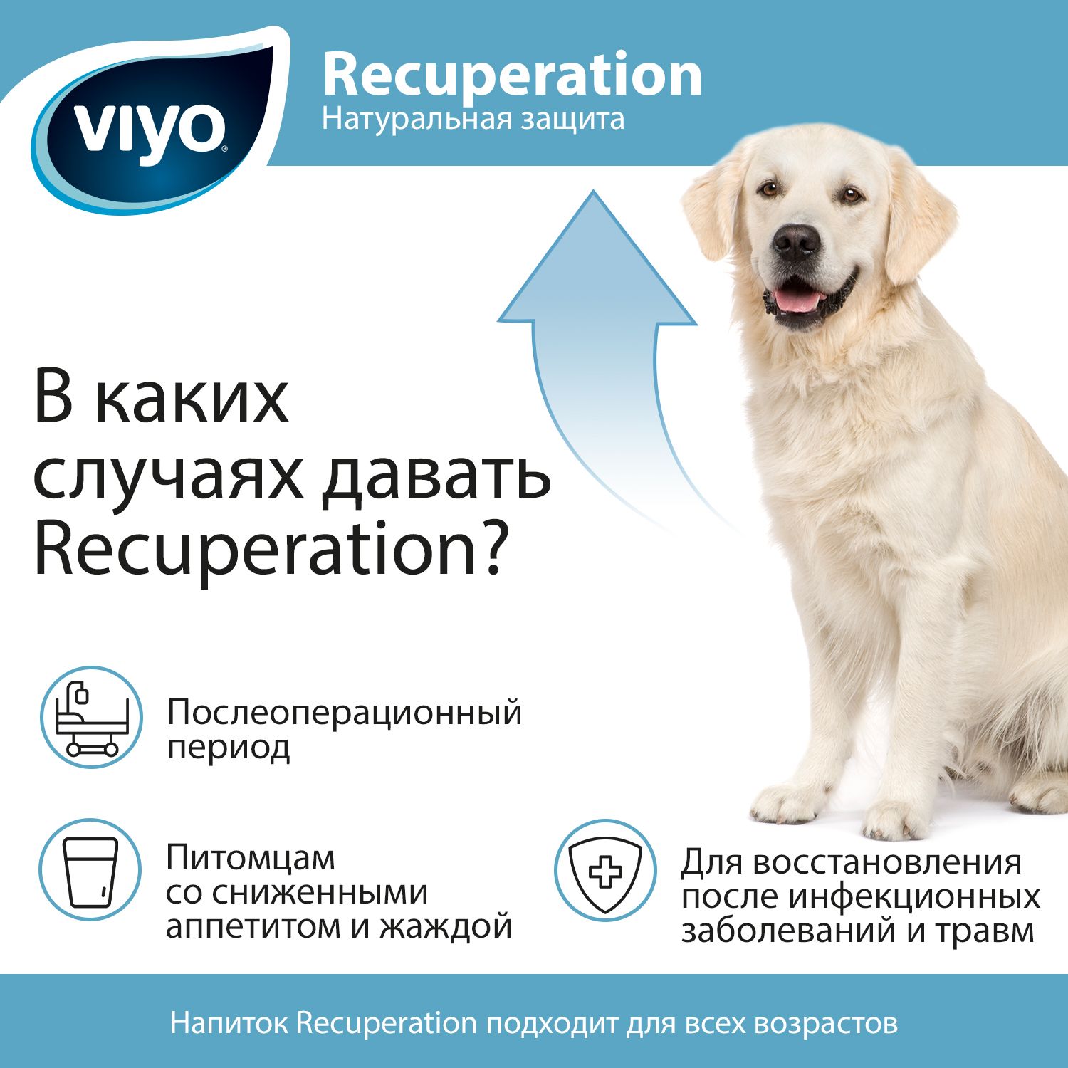 VIYO Recuperation Напиток-пребиотик для собак 150 мл - купить по цене от  рублей в Новосибирске | Мокрый Нос
