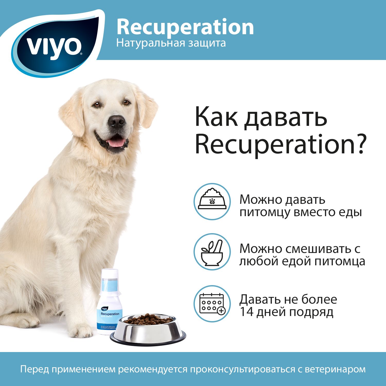 VIYO Recuperation Напиток-пребиотик для собак 150 мл - купить по цене от  рублей в Новосибирске | Мокрый Нос