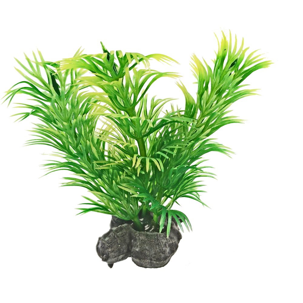 Набор растений Tetra XS зеленые 6 шт 2