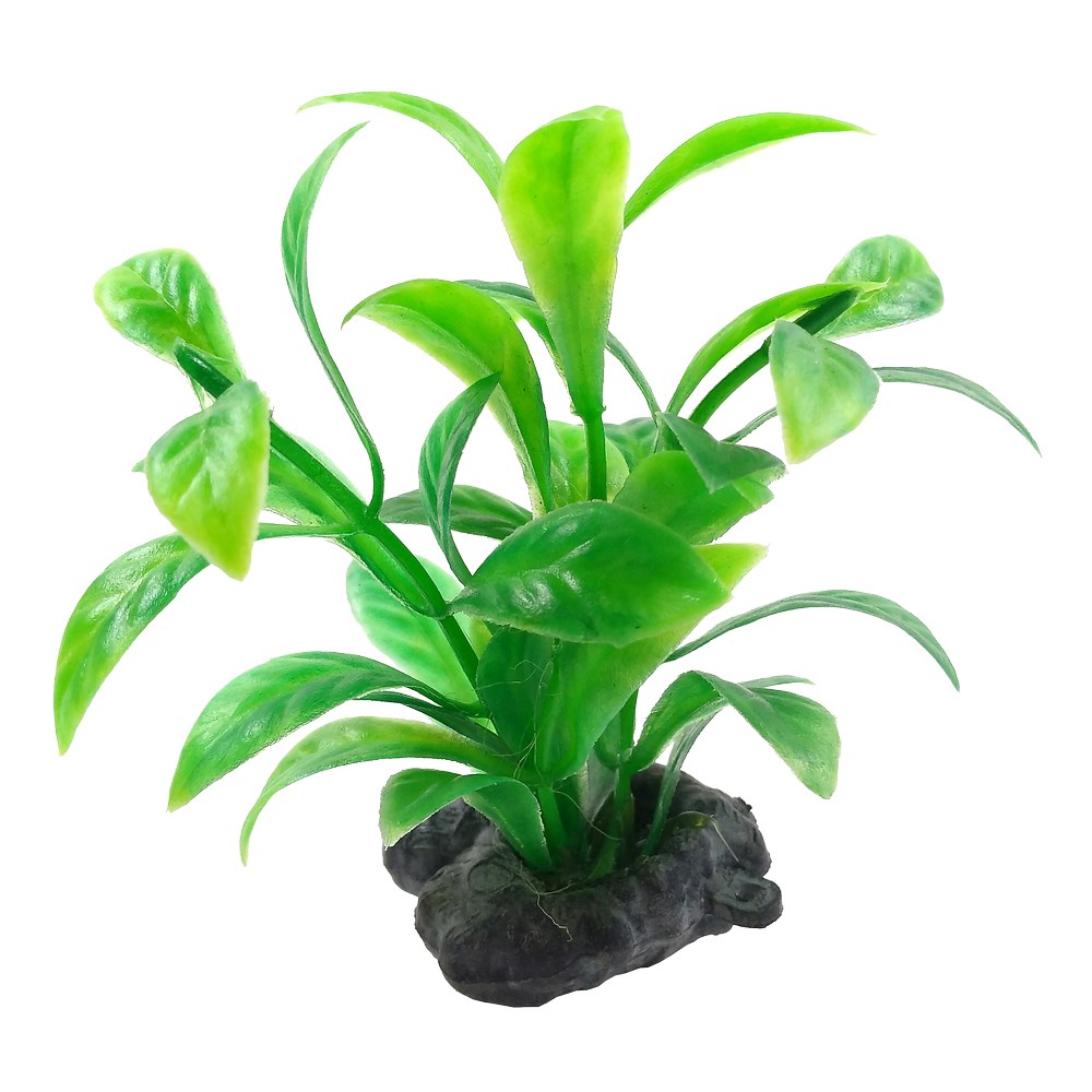 Набор растений Tetra XS зеленые 6 шт