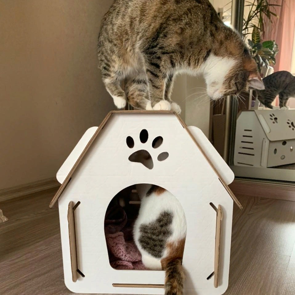 Большие домики для кошек