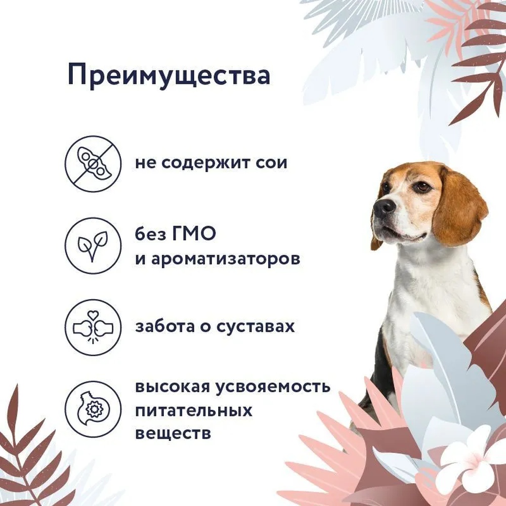 Florida Preventive Line Gastrointestinal Конина консерва для собак 340 г -  купить по цене от рублей в Новосибирске | Мокрый Нос