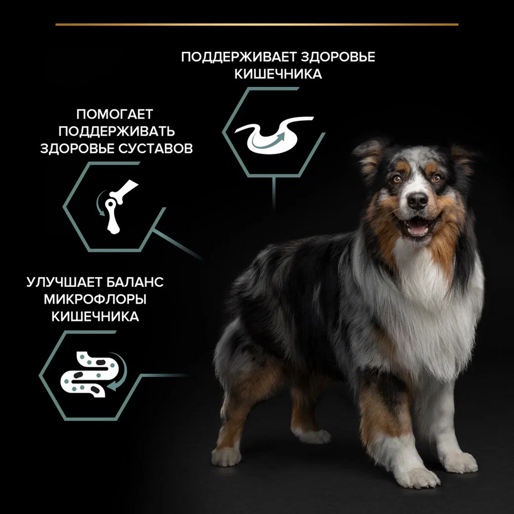 Pro Plan Medium Adult Sensitive Digestion®для взрослых собак средних пород с чувствительным пищеварением, с высоким содержанием ягненка 4