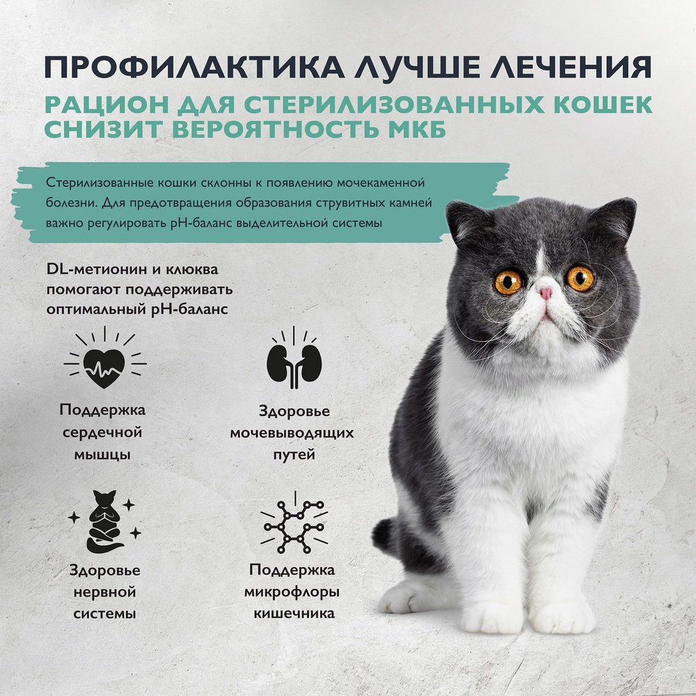 Brit Care Cat Sterilised Urinary Care Индейка/Утка для кошек 3