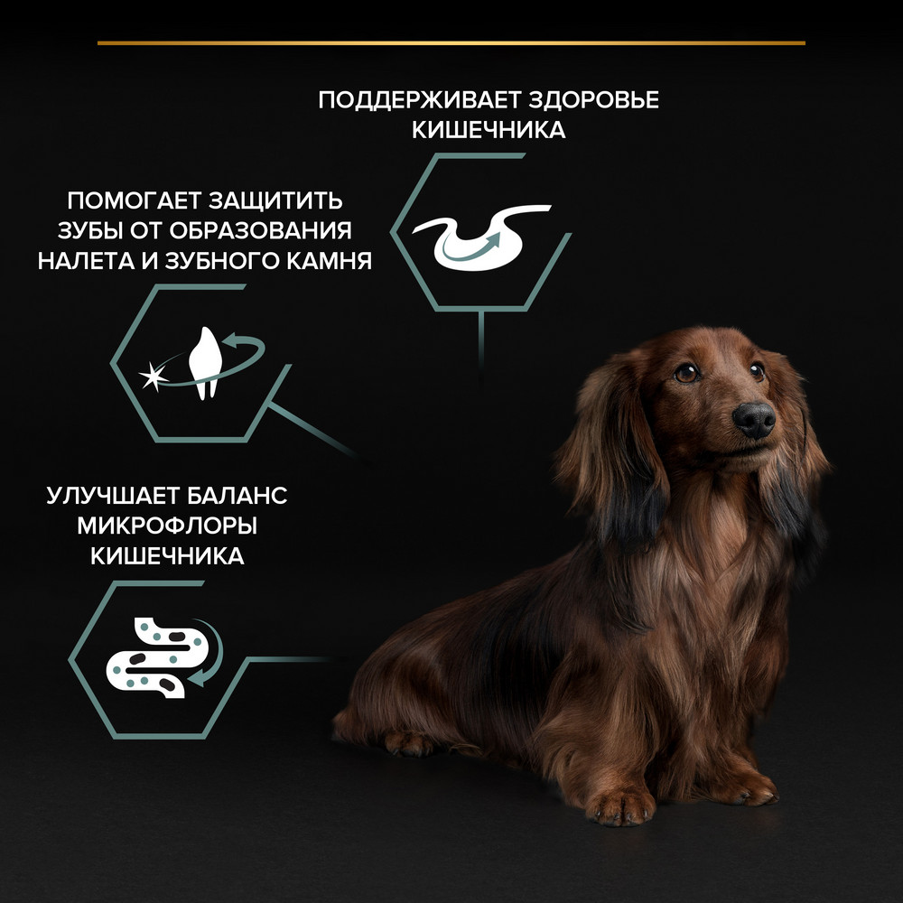 Pro Plan Small & Mini Adult Sensitive Digestion для взрослых собак мелких и карликовых пород с чувствительным пищеварением, с высоким содержанием ягненка 4