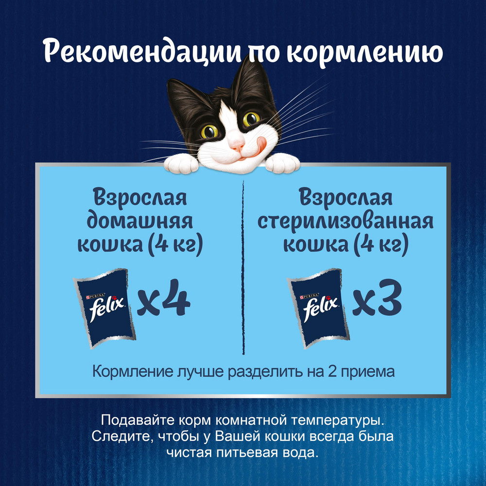 Felix Sensation Утка/Морковь в соусе пауч для кошек 75 г 4