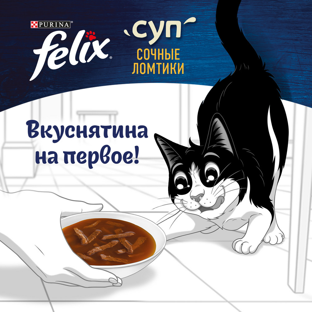 Felix Суп Утка пауч для кошек 48 г 6
