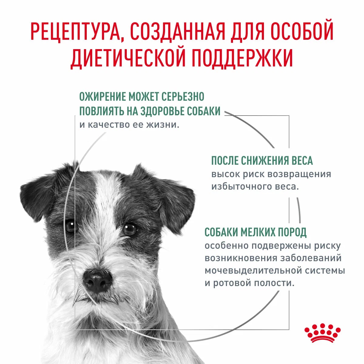 Royal Canin Satiety Weight Management Small Dog under 10 kg для собак 4
