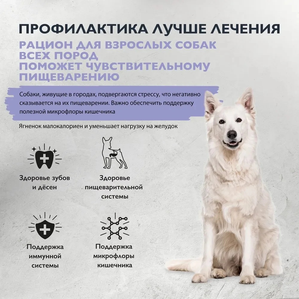 Brit Care Dog Adult Sensitive Healthy Digestion Индейка/Ягненок для собак 3