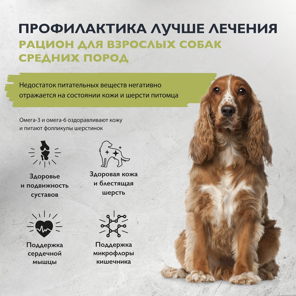 Brit Care Dog Adult Healthy Skin&Shiny Лосось/Индейка для собак средних пород 2