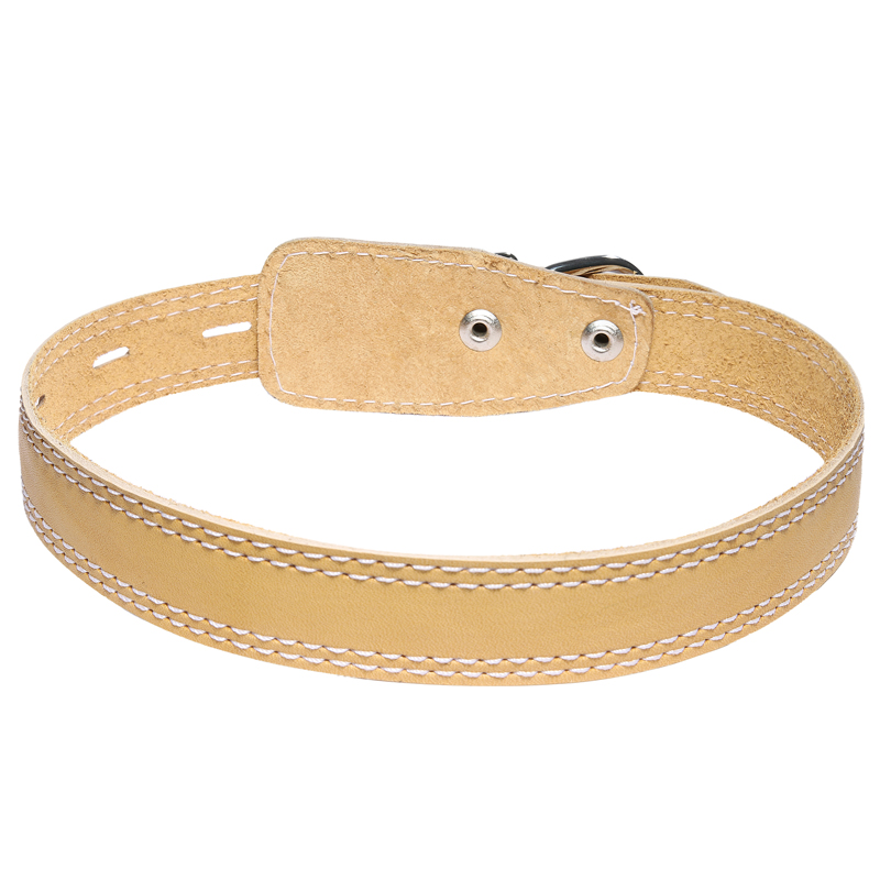 Ошейник Gamma кожаный для собак 2,5*53 см