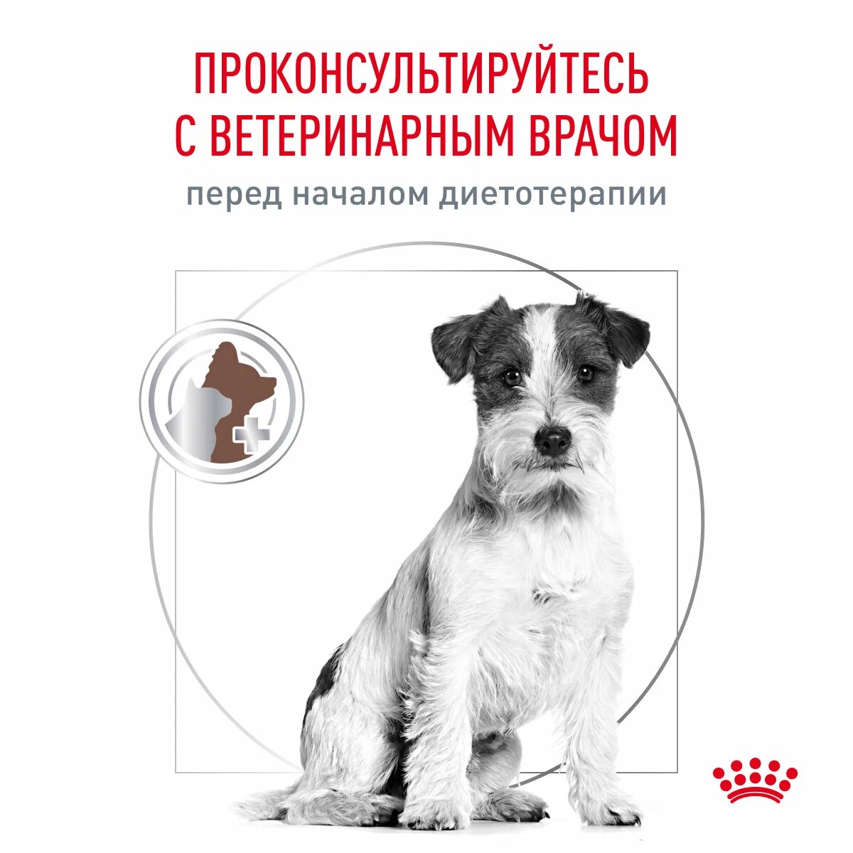 Royal Canin Gastro Intestinal Low Fat Mini для собак 6