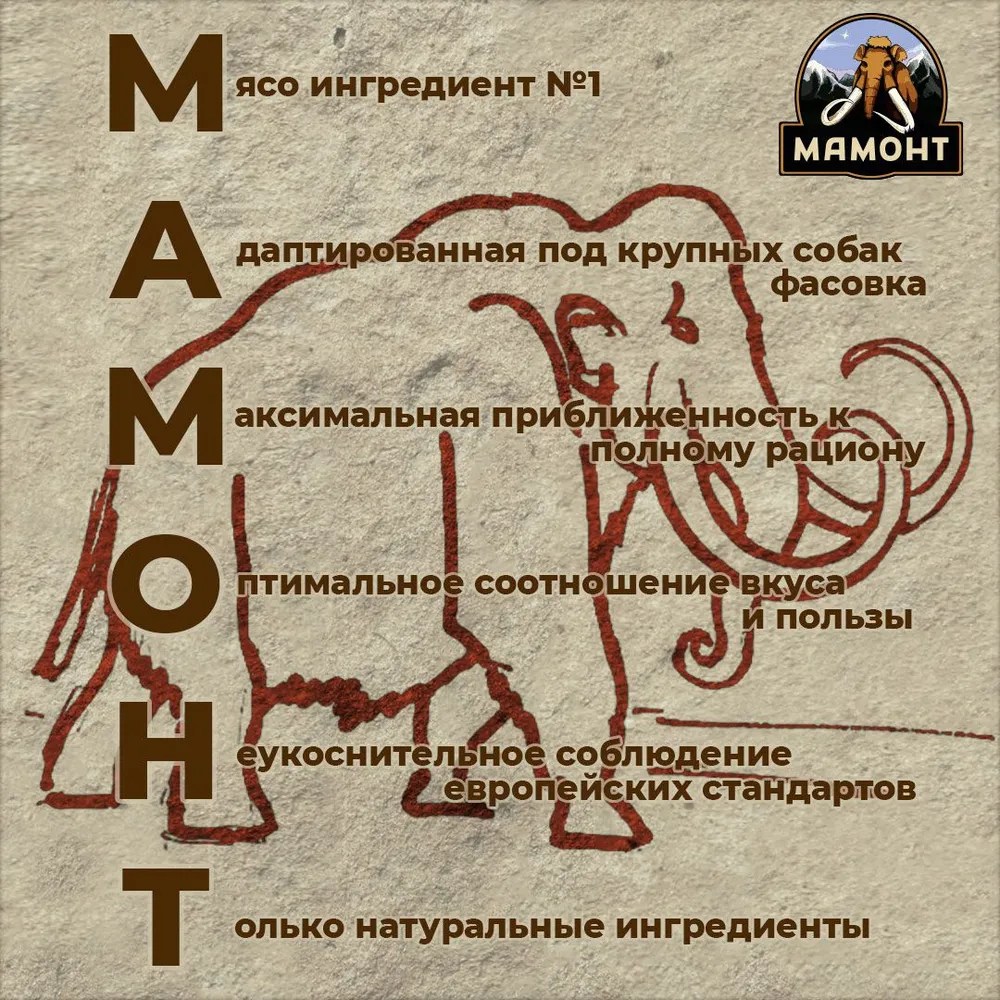 Мамонт Стандарт Ягненок для собак консервы 0,97 кг 2
