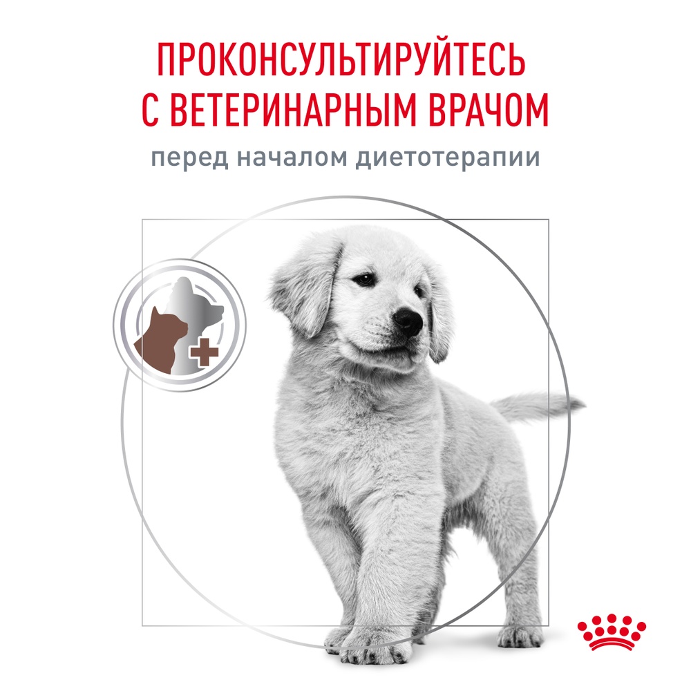 Royal Canin Gastrointestinal Puppy для щенков 7