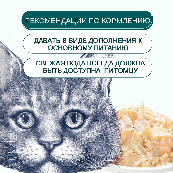 Wanpy Cat Курица/Гребешок кусочки пауч для кошек 85 г 3