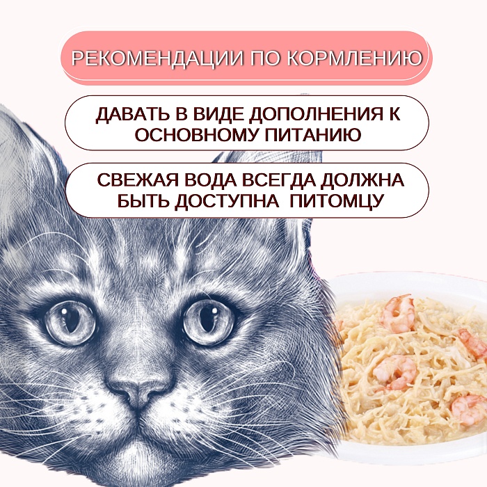 Wanpy Cat Курица/Креветки кусочки пауч для кошек 85 г 3