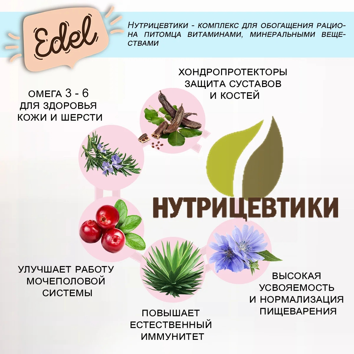 Edel Adult Mini Ягненок для собак 2