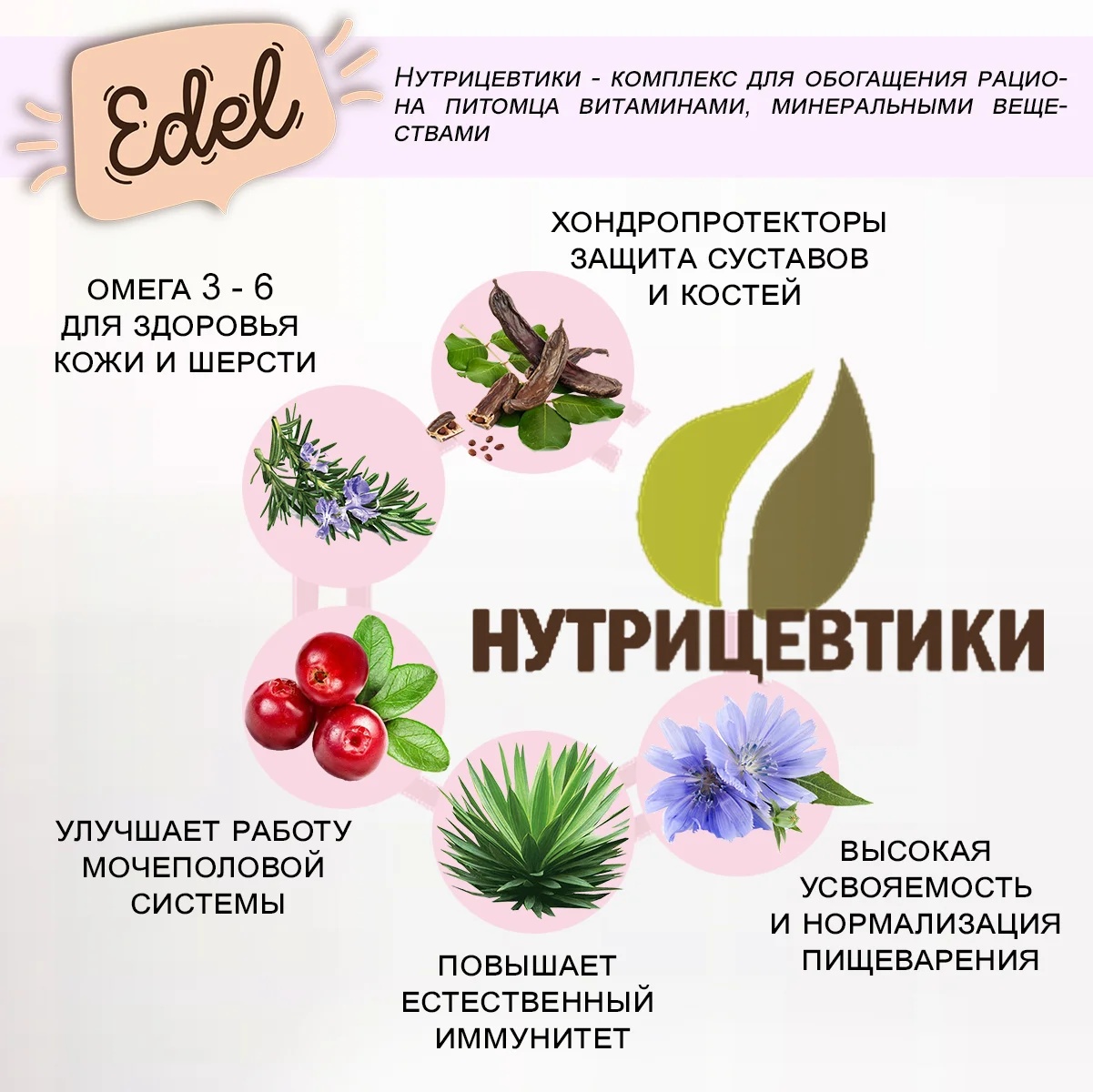 Edel Adult Свинина для кошек 2