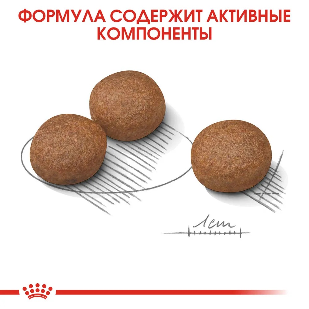 Royal Canin Medium Digestive Care для собак 3