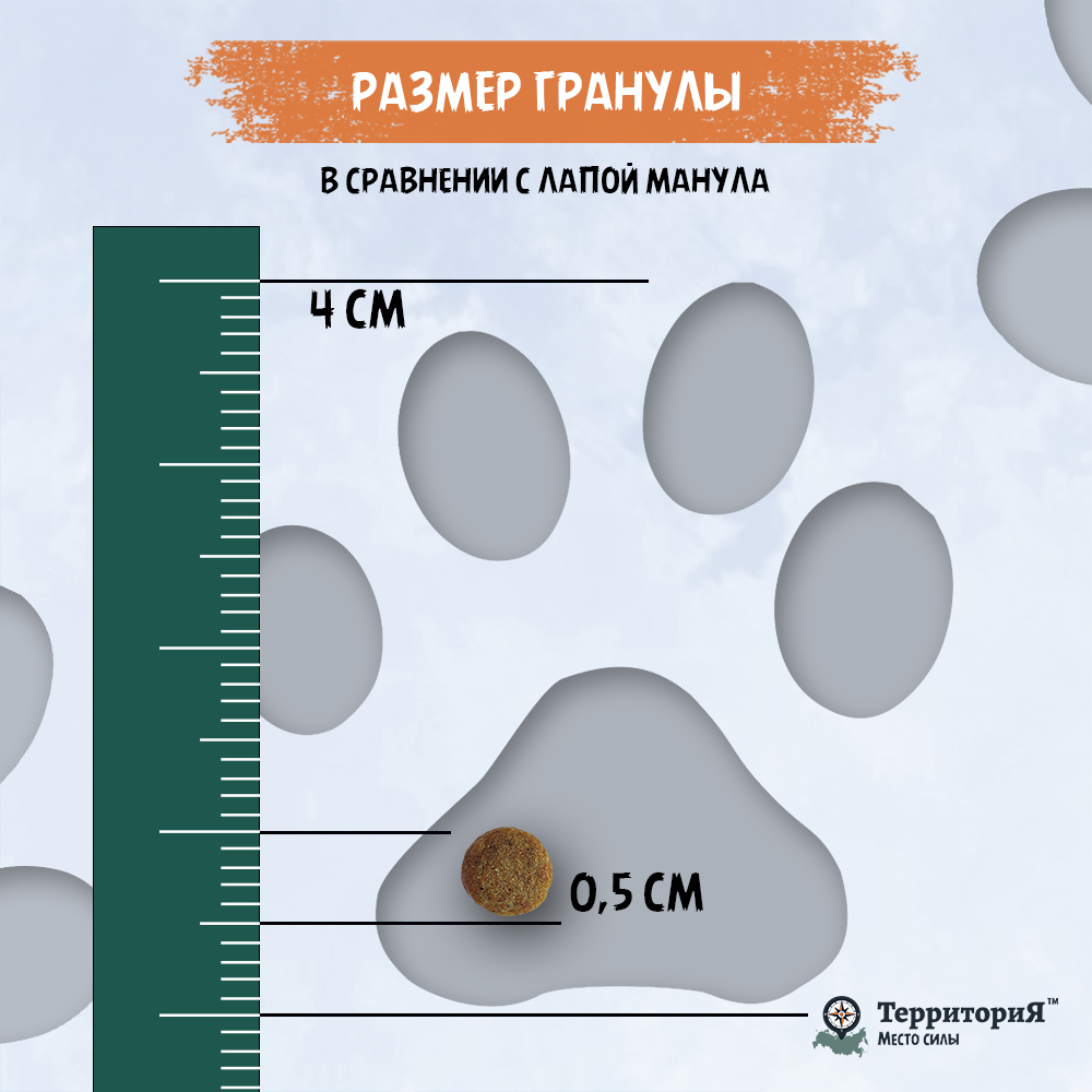 ТерриториЯ Кавказ Индейка/брусника для котят 2