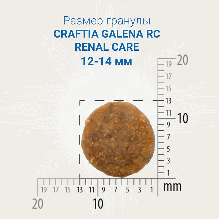 Craftia Galena Renal Care для собак 2 кг 2