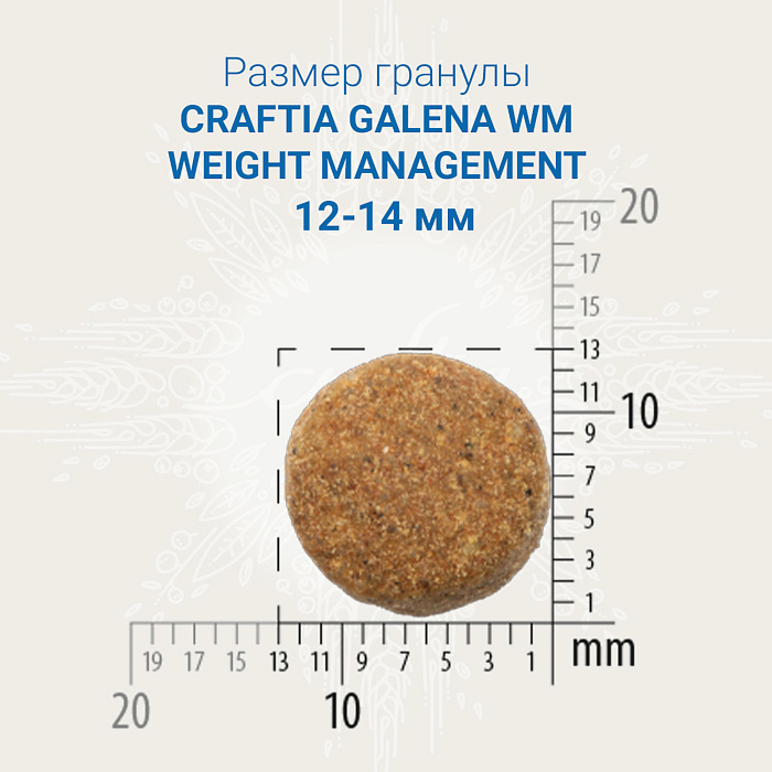 Craftia Galena Weight Management (Obesity) для собак 2 кг 2