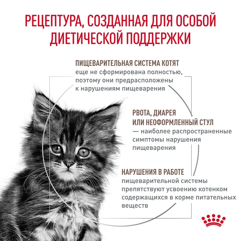 Royal Canin Gastrointestinal Kitten для котят 2 кг 4