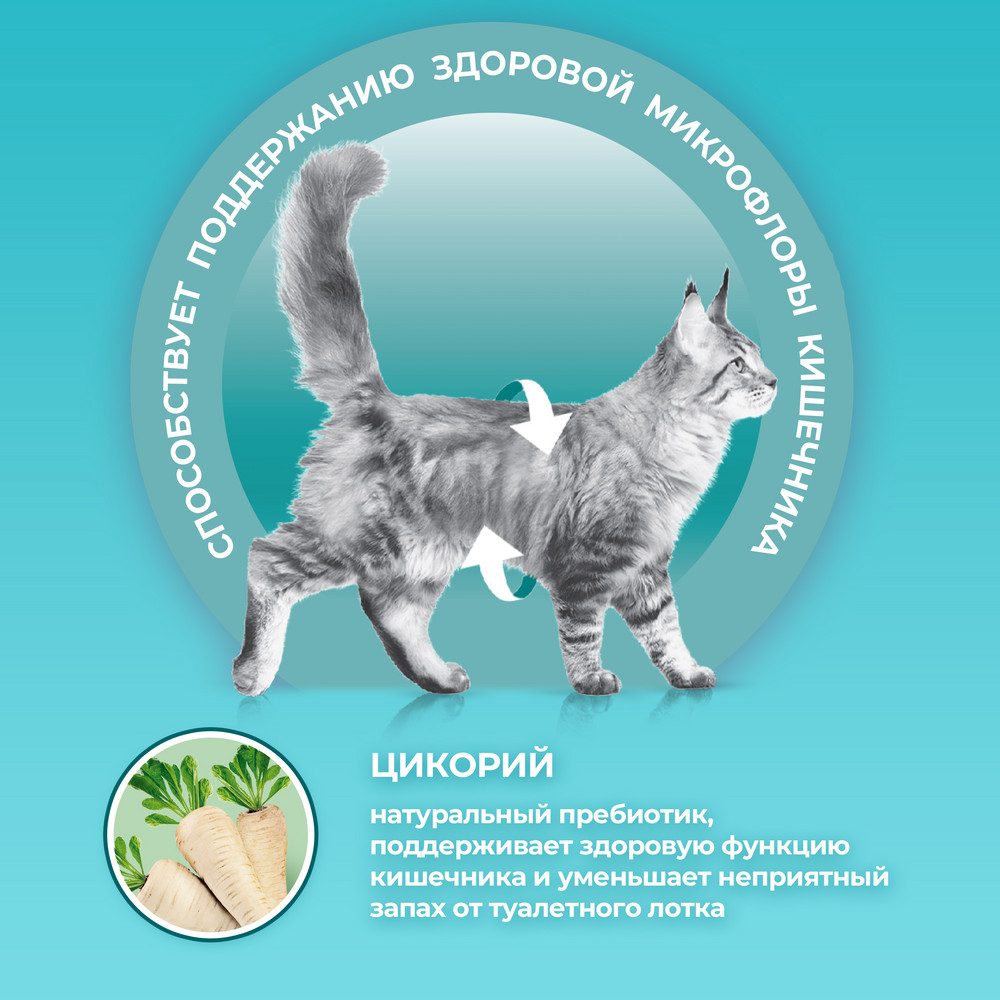 Purina ONE полнорационный для стерилизованных кошек и кастрированных котов, с высоким содержанием лосося 3
