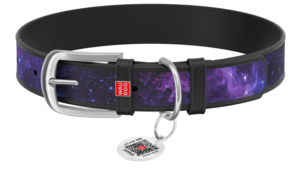 Ошейник Collar WAUDOG NASA21 кожа с QR-паспортом черный для собак 2