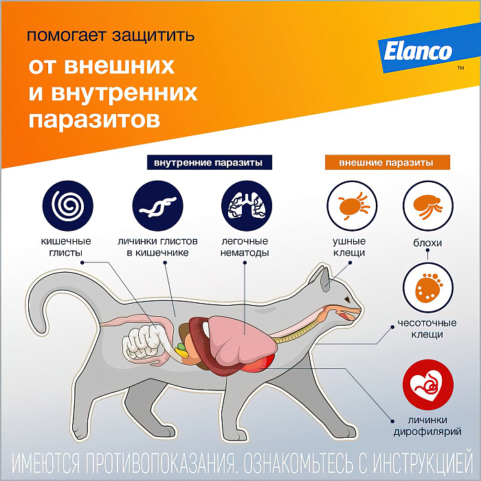Адвокат капли на холку для кошек (1 пипетка) 2