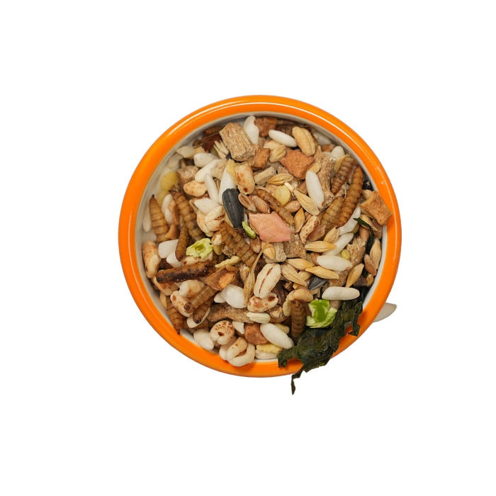 Bambini Pets корм для крыс и мышей 800 г 5