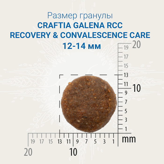 Craftia Galena Recovery&Convalescence Care для собак 2 кг 2