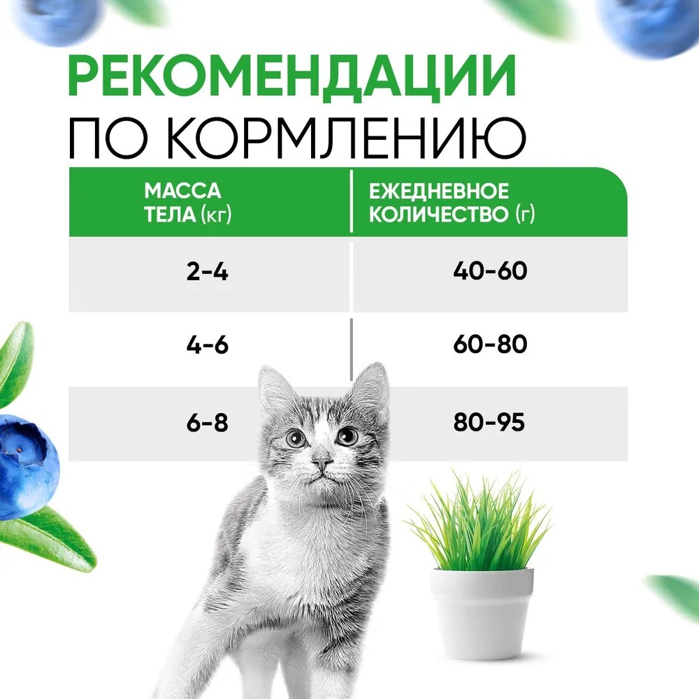 Delicana Adult Ягненок для кошек 6