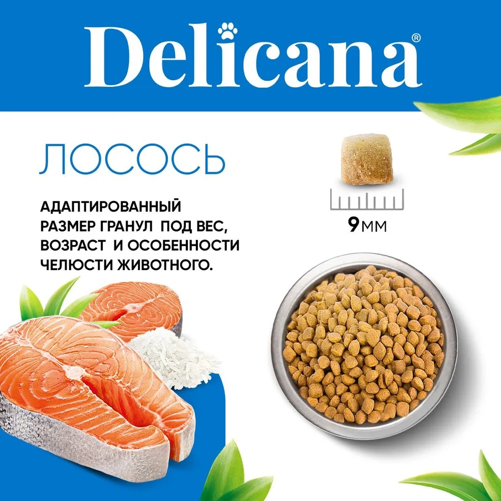 Delicana Adult Лосось для кошек 5