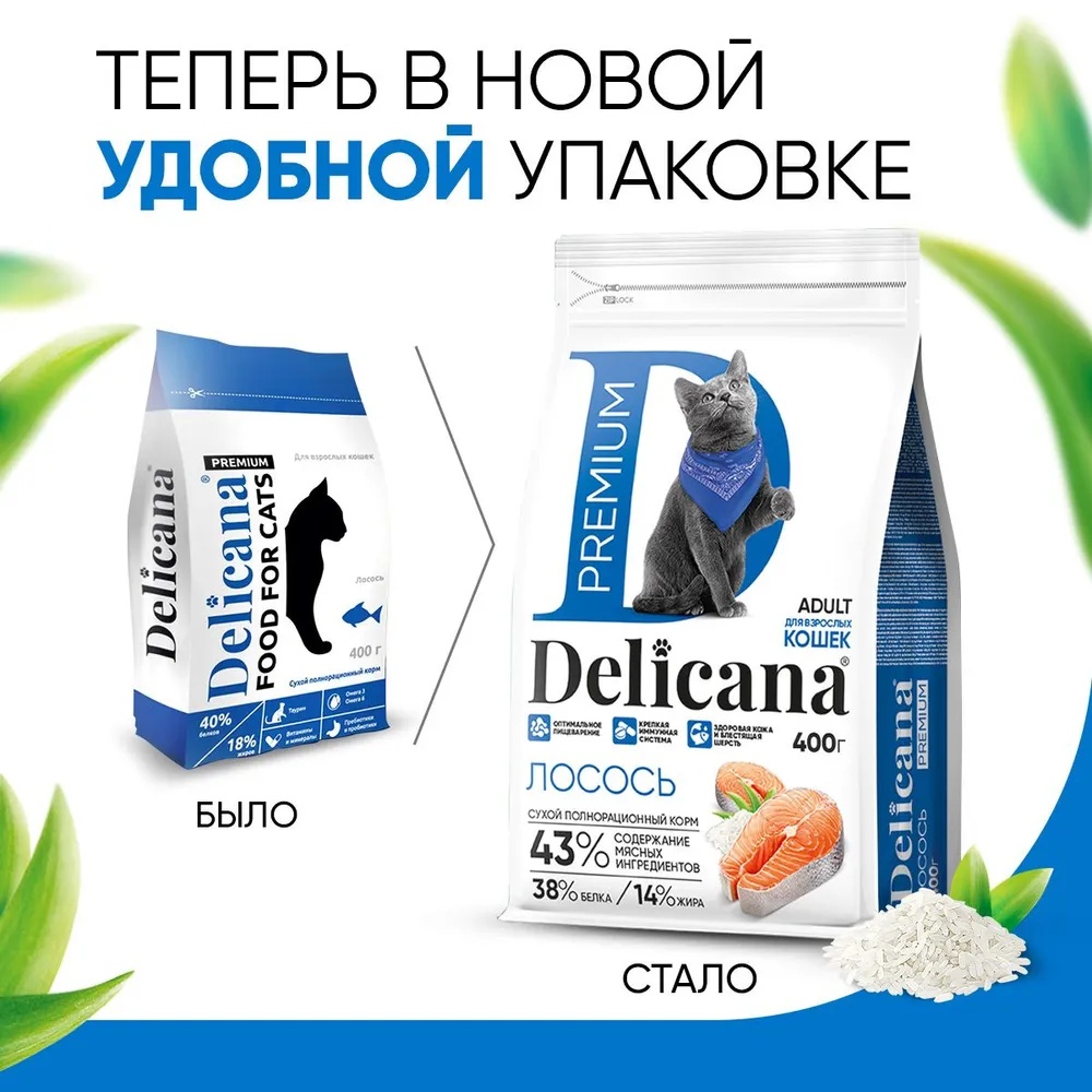 Delicana Adult Лосось для кошек 2