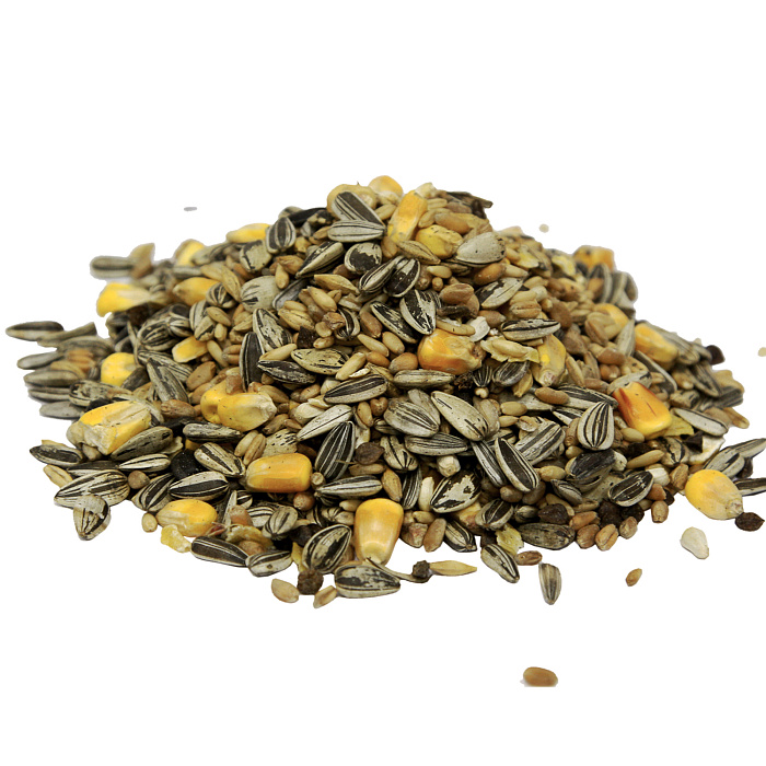 Fiory Classic корм для крупных попугаев Classic 600 г 3