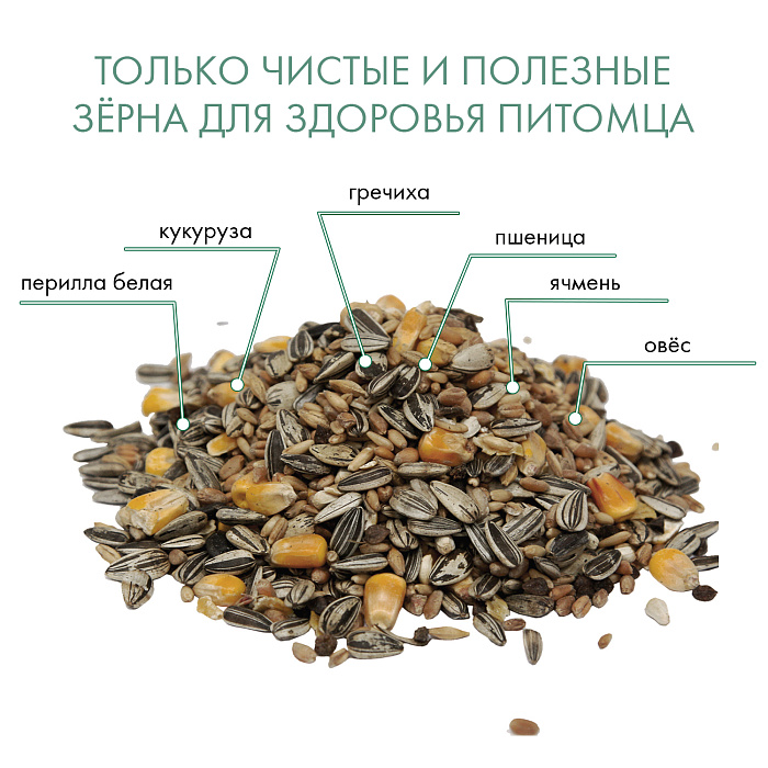 Fiory Classic корм для крупных попугаев Classic 600 г 5