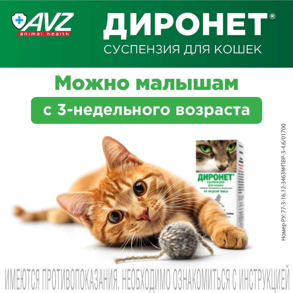 Диронет антигельминтный препарат суспензия для кошек 15 мл 5