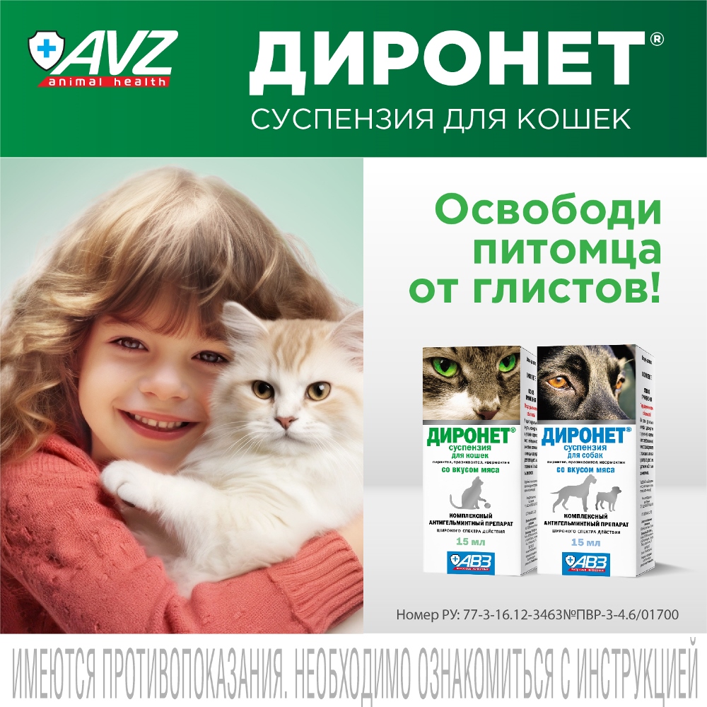Диронет антигельминтный препарат суспензия для кошек 15 мл 8