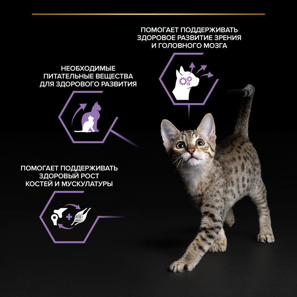 Pro Plan Healthy Start Kitten Лосось в соусе пауч для кошек 85 г 3