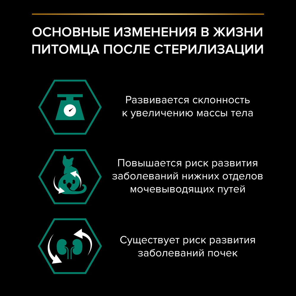 Pro Plan Sterilised Maintenance Говядина в желе пауч для кошек 85 г 4