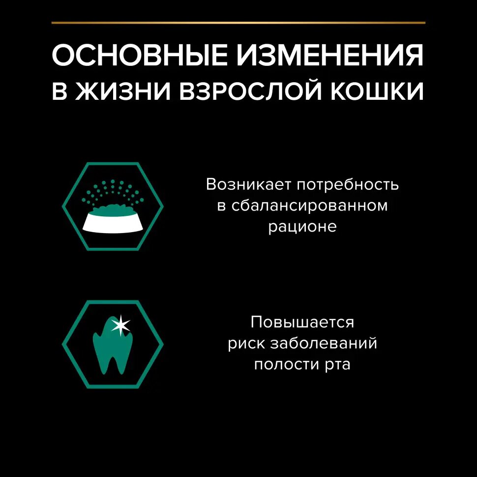 Pro Plan Adult Maintenance Говядина в соусе пауч для кошек 85 г 3