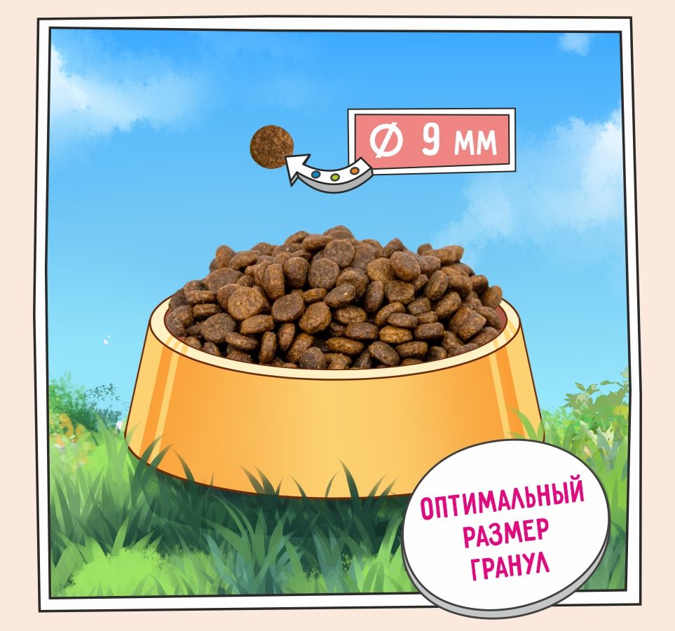 ZILLII Adult Light/Sterilized Индейка/Утка для кошек 4