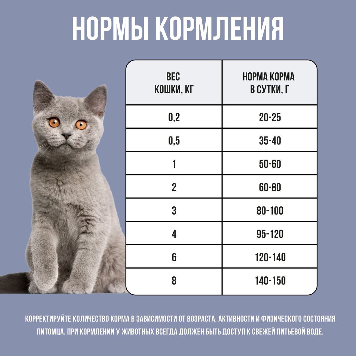 Bowl Wow Kitten Индейка/Курица/Черника для котят 6