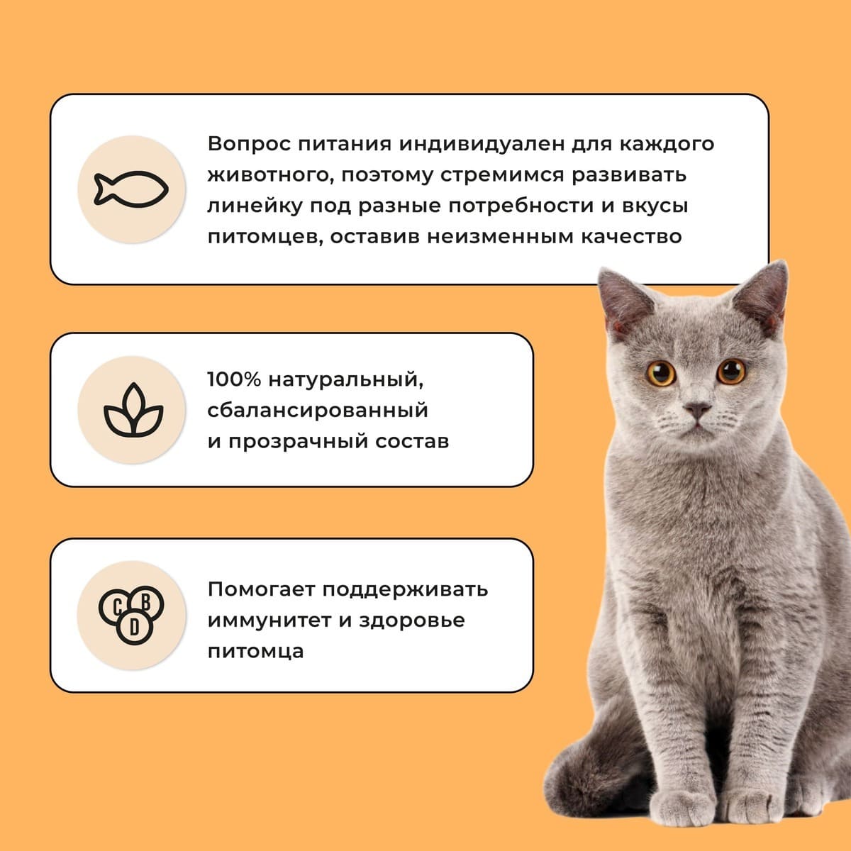 Bowl Wow Sensitive Индейка/Курица/Тыква для кошек 400 г 7