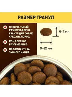 Brooksfield Dog All Breeds Ягненок/рис для собак 5