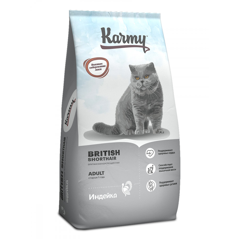 Karmy British Shorthair Adult